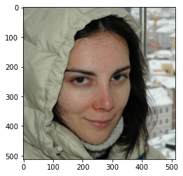 Use Dataset to retrieve data from image files